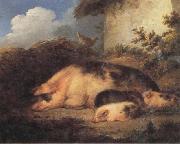 George Morland A Sow and Her Piglets oil on canvas